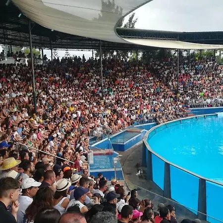 Lejlighed Falesia Alfamar *