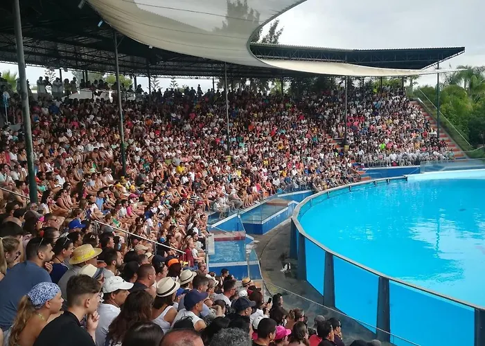 Appartement Falesia Alfamar *