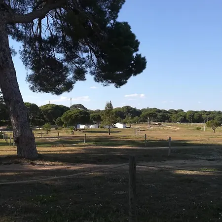 아파트 Falesia Alfamar